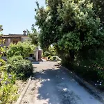 فيلة Panada